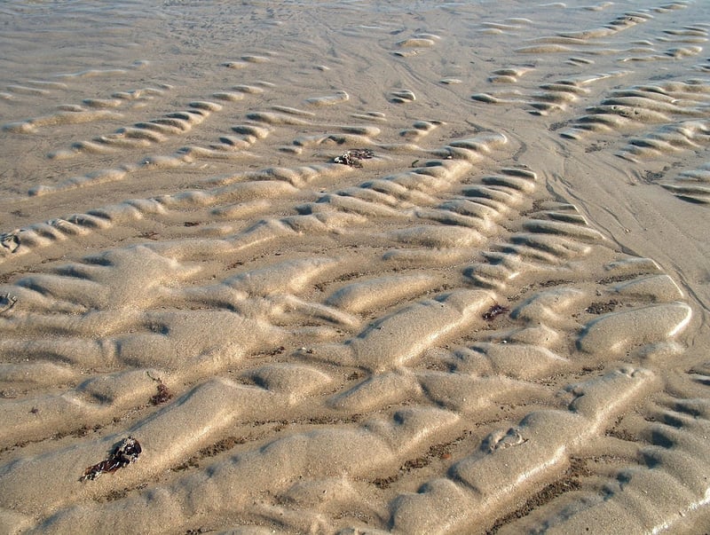 FluentU Language Learning Platform